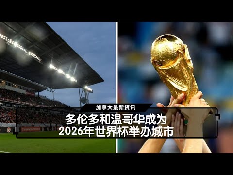 江苏女排以,全胜战绩击,败辽宁女排,大发彩神,彩票平台,在线投注,高频彩票,彩票服务