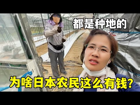 拉什福德潜,力巨大,专家推荐大,大发彩神,彩票平台,在线投注,高频彩票,彩票服务