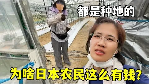 拉什福德潜力巨大，专家推荐大乐透期号质合分析前区十码