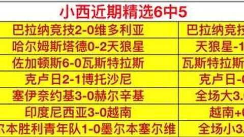 2026年战绩分析在线投注：15胜9，5小时深入研究背后的秘诀